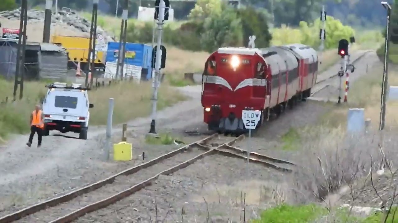 Steam Incorporated Napier Escape December 2025