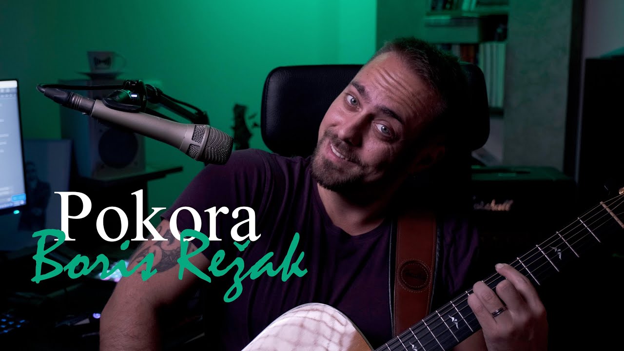 Igor Simić - Pokora | Boris Režak Cover