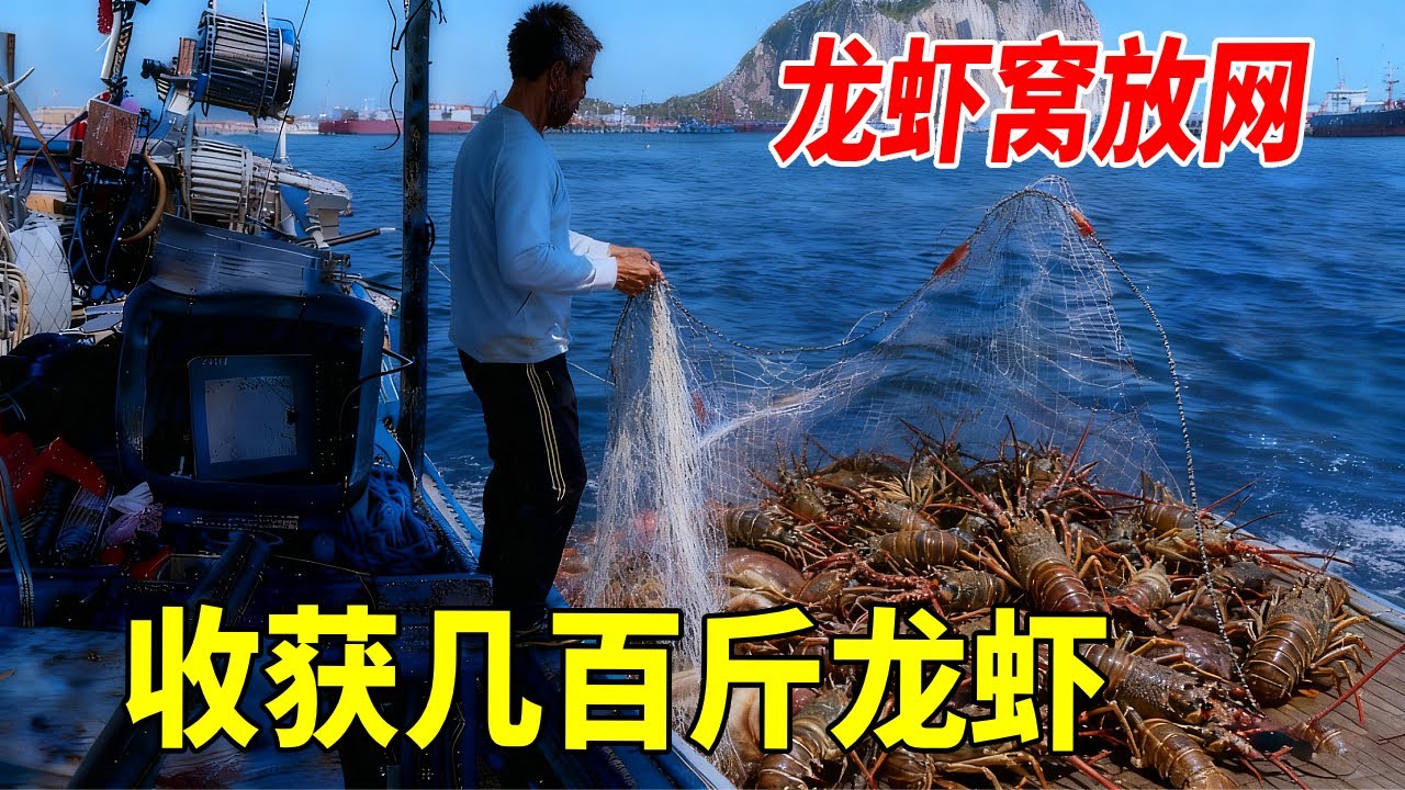 一趟龙虾窝放网能有多少钱？今天带大家一探究竟，稀有货直接1000就起步！ 