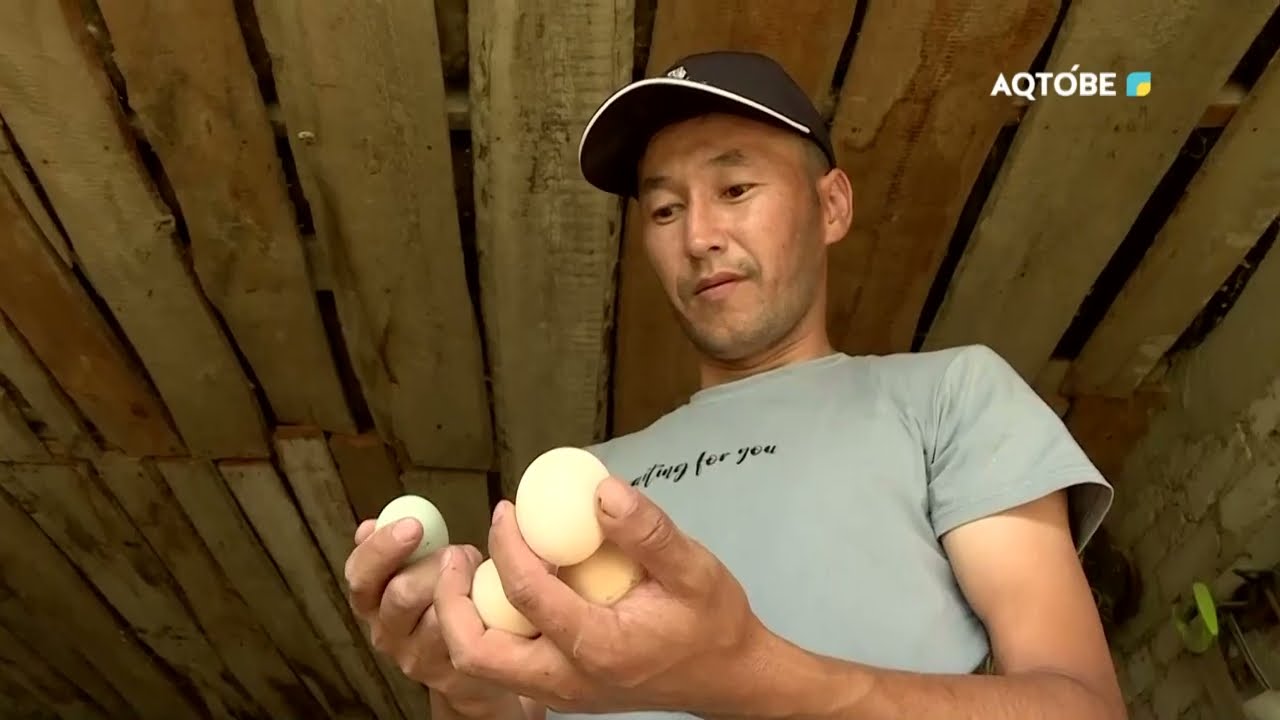 Ауыл аманаты Ырғыз ауданы 13.06.2023 жыл