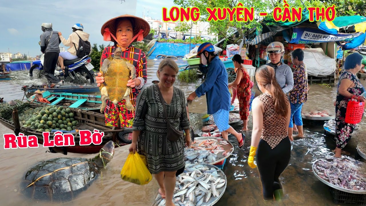 Báo động ngập lịch sử RÙA LÊN BỜ - Xóm Chài Tân An Cần Thơ đường thành sông