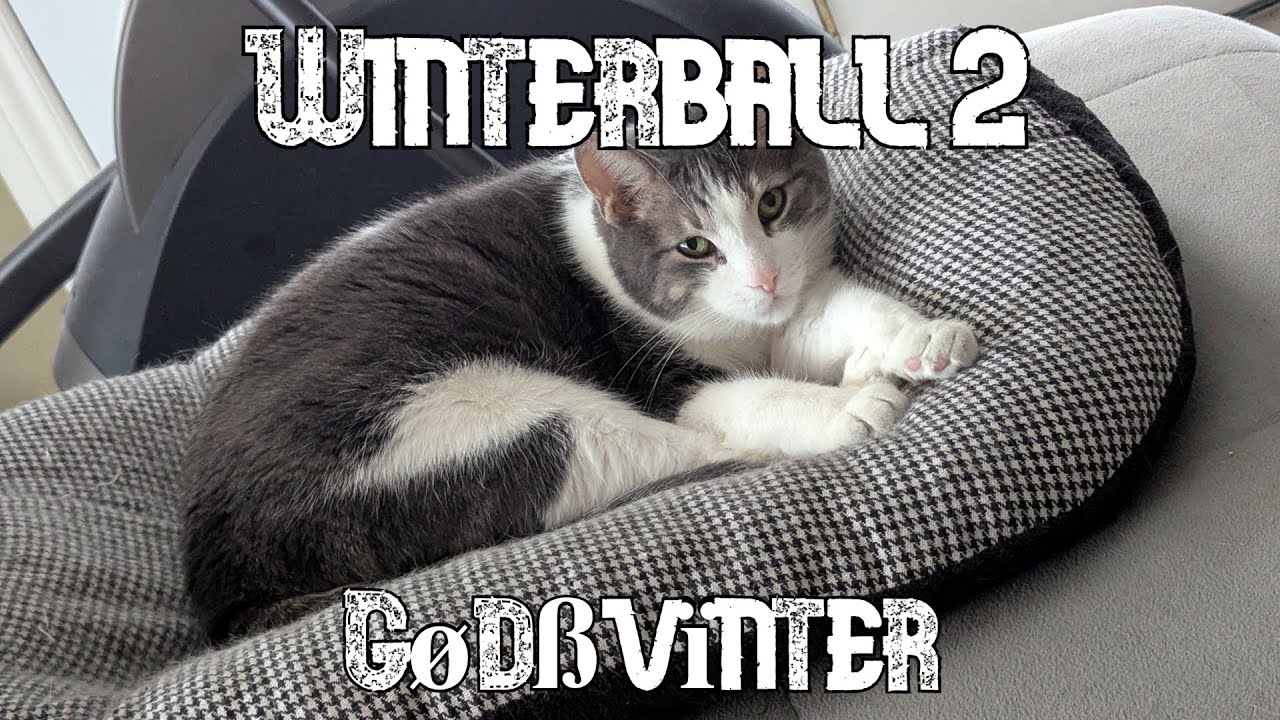Winterball 2