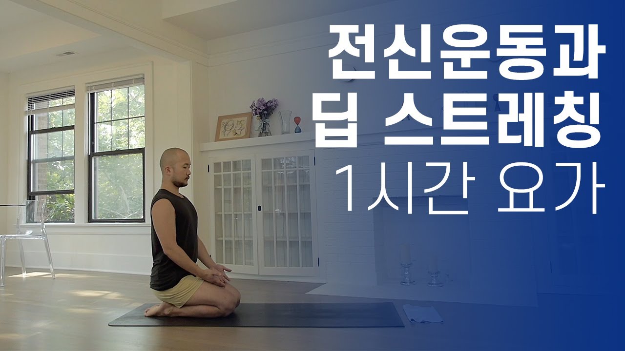 전신 운동과 딥 스트레칭 | 1시간 요가 | 요가소년 395