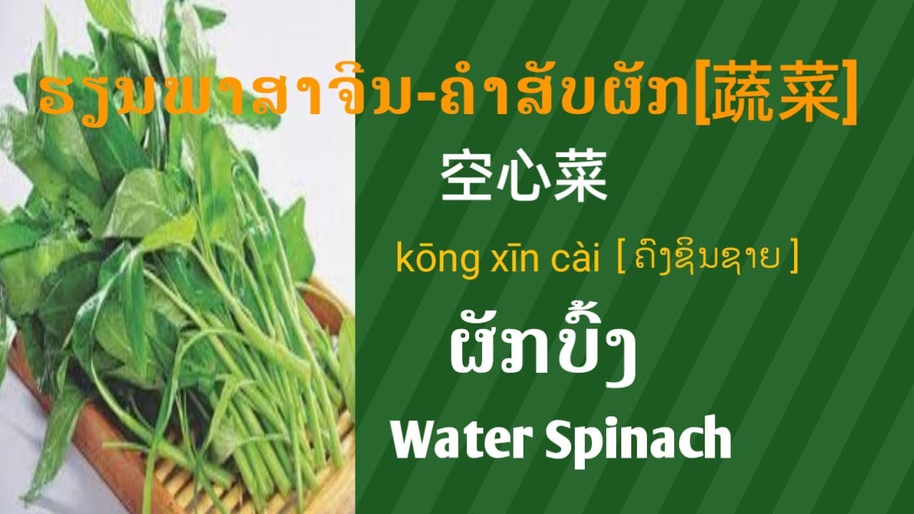ຮຽນພາສາຈີນ-ກ່ຽວກັບຜັກ[studychinese] Ketang