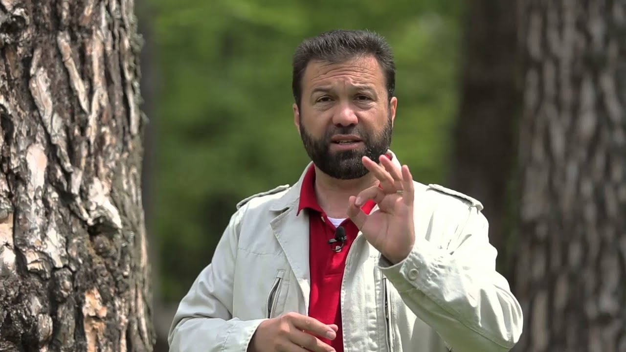 قصة السواعد - الفتاة الروسية - د. أمجد قورشة