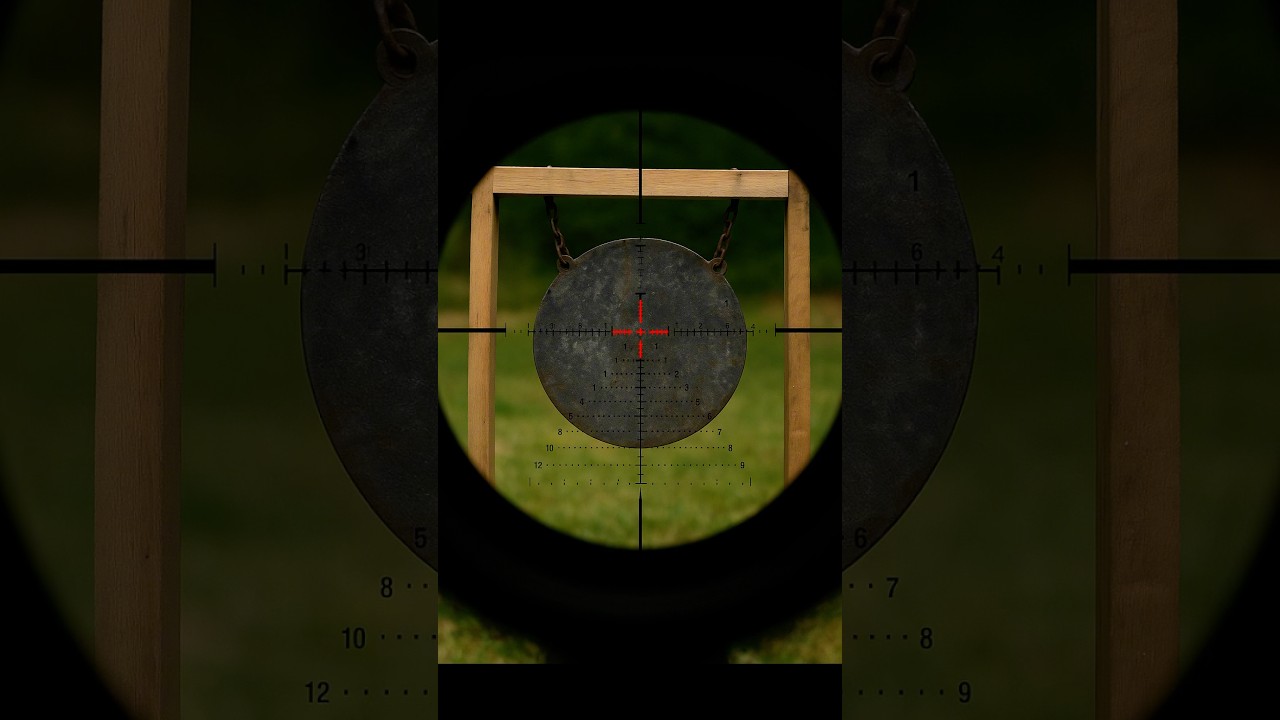 ED-PRS GEN2 5-25&times;56 SFIR Lock FW34 &mdash; когда хочешь видеть дальше и стрелять точнее