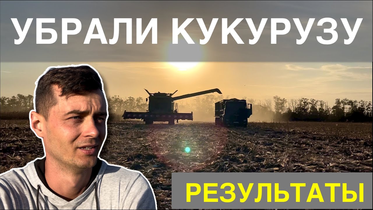 УСПЕТЬ УБРАТЬ КУКУРУЗУ ДО ДОЖДЕЙ | Результаты