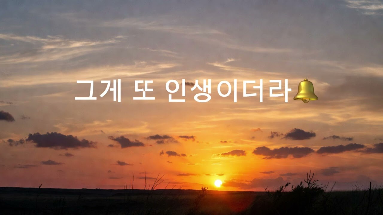 🎧인생이더라   감동적이고 마음이 찡해지는 트로트🎤🎤