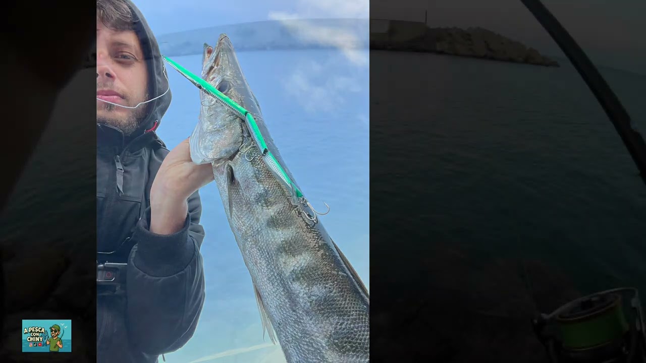 Alla ricerca dei predatori | Proviamo il nuovo stylo jointed 255 della jack fin