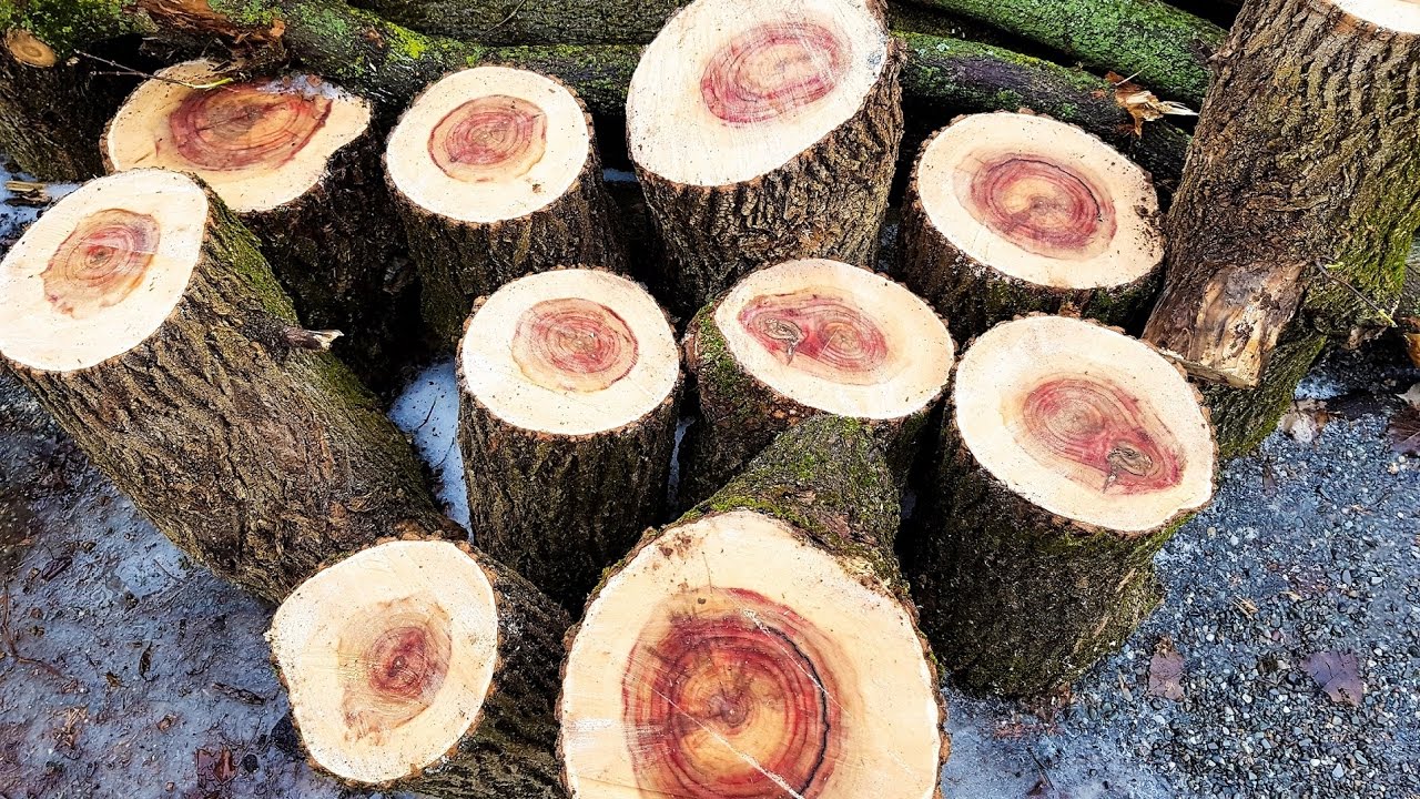 Woodturning: Wood, Project, Fail, Project