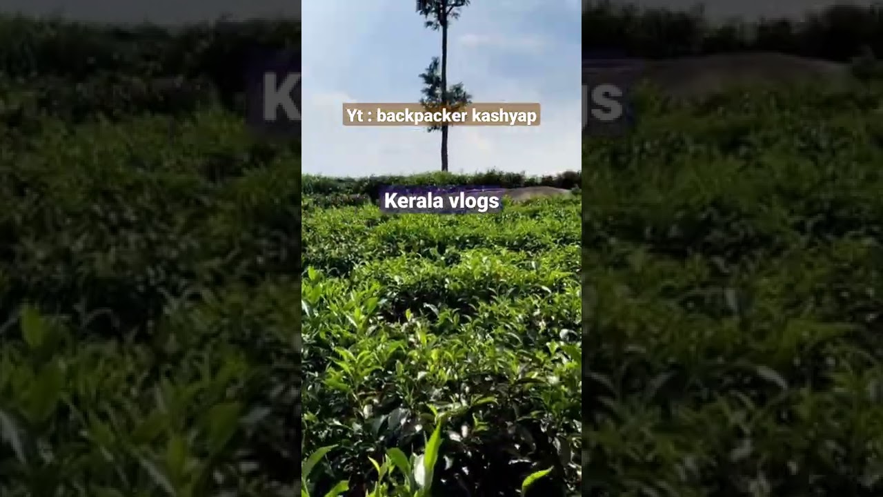 Watch my Kerala  vlogs series...: backpacker kashyap  laylist : Kerala vlogs #kerala #keralagallery