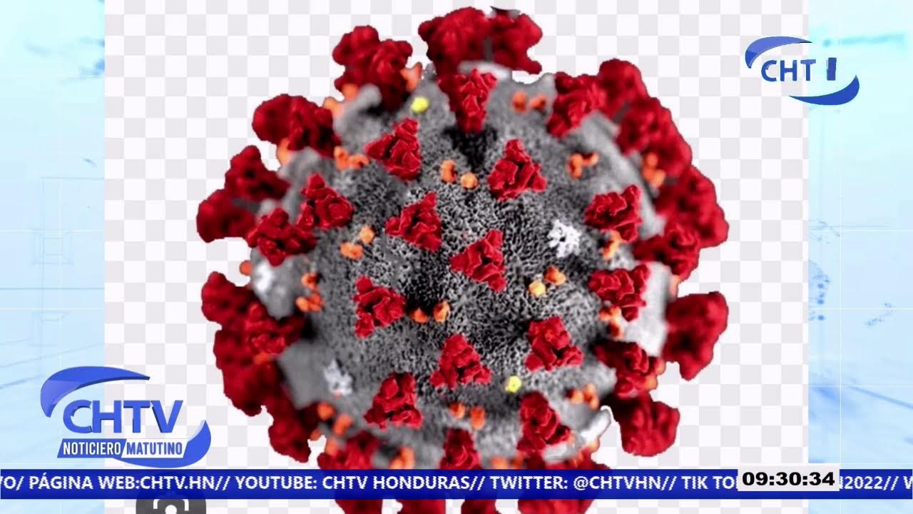 Chtv Honduras