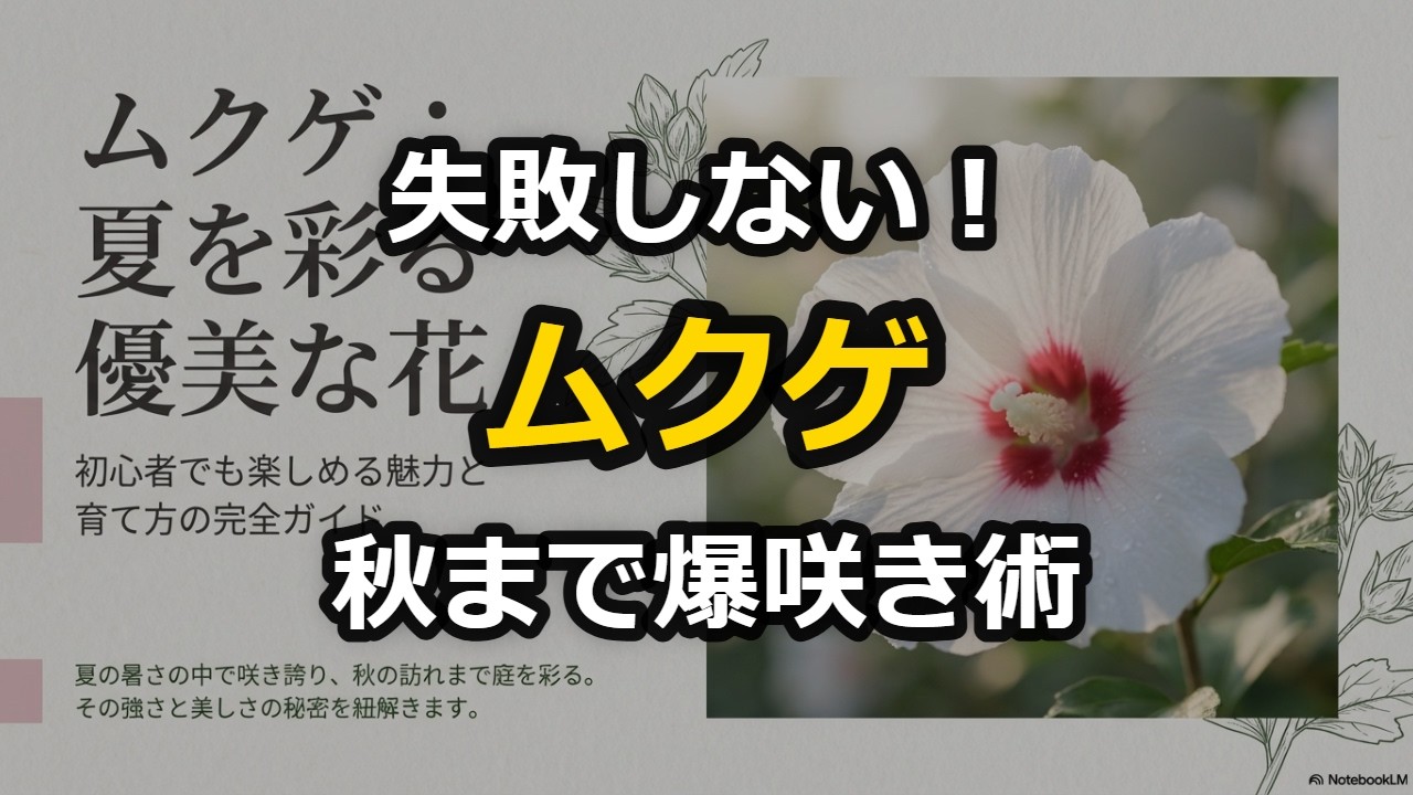 夏から秋まで爆咲き！初心者でも失敗しない【ムクゲ】育て方完全攻略ガイド
