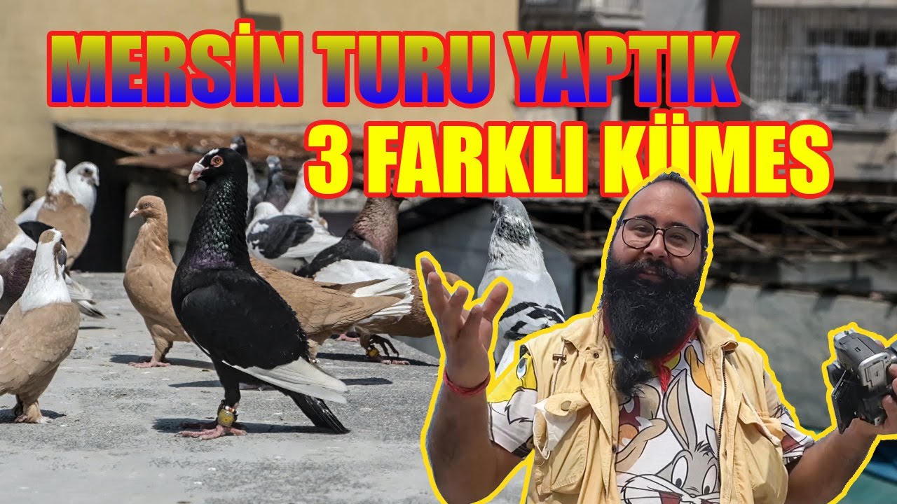MERSİN TURU YAPTIK: 3 FARKLI KÜMES #KGyollarda