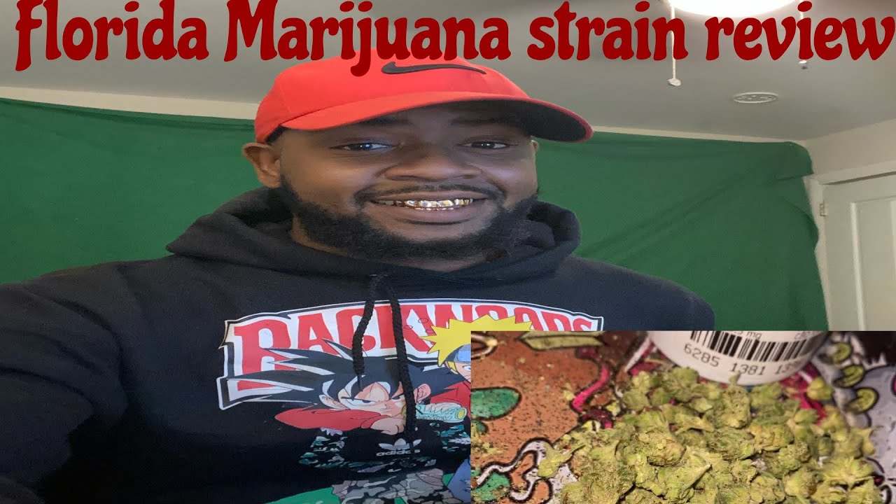Florida medical marijuana review