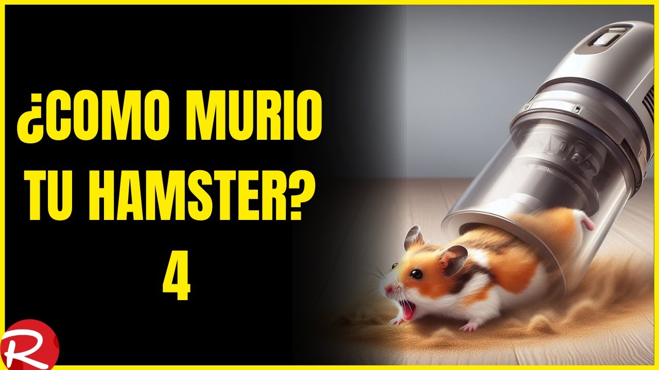 ¿Como murio tu hamster? 4