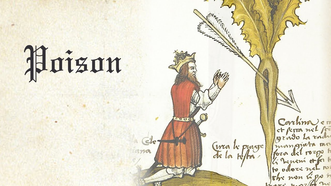 Poison - Alice Cooper [Bardcore]