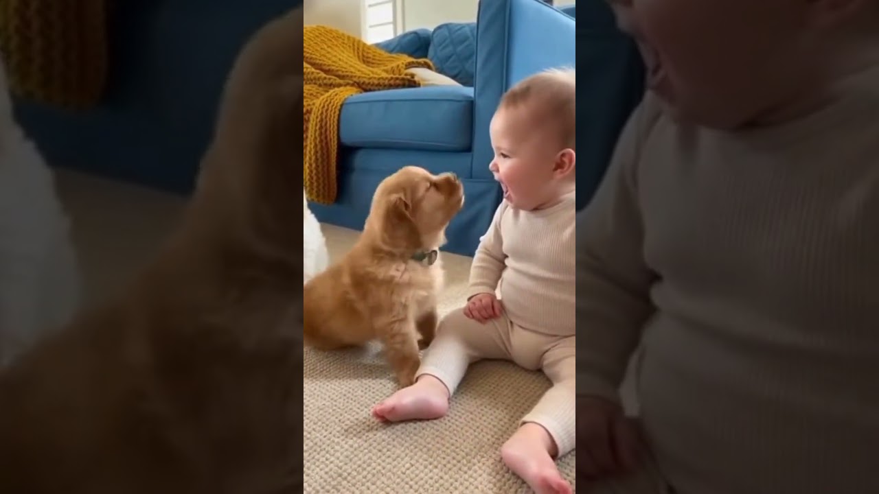 Puppy vs Baby: The Cutest Laugh Battle! 🐶🍼 Baby's First Best Friend