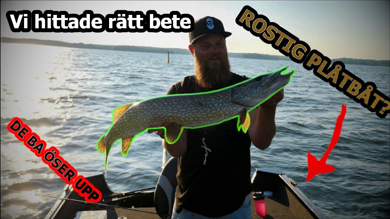 GALET ABBORRE FISKE!! - Jerkbait fiske efter abborre!  Vi hittade betet för dagen!!!