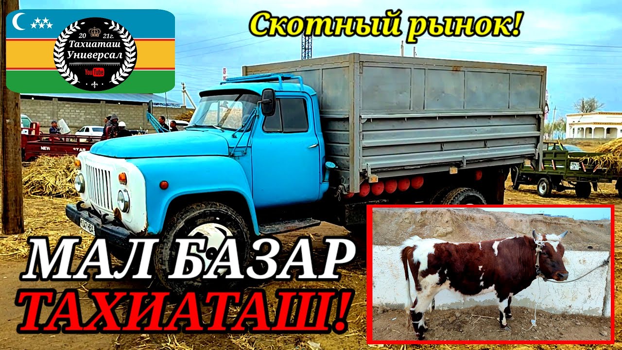 МАЛ БАЗАР 🐄 СКОТНЫЙ РЫНОК 06.04.25ж.#тахиата#каракалпакистан#бахалары#цены#огиз#сыйыр#быки#корова