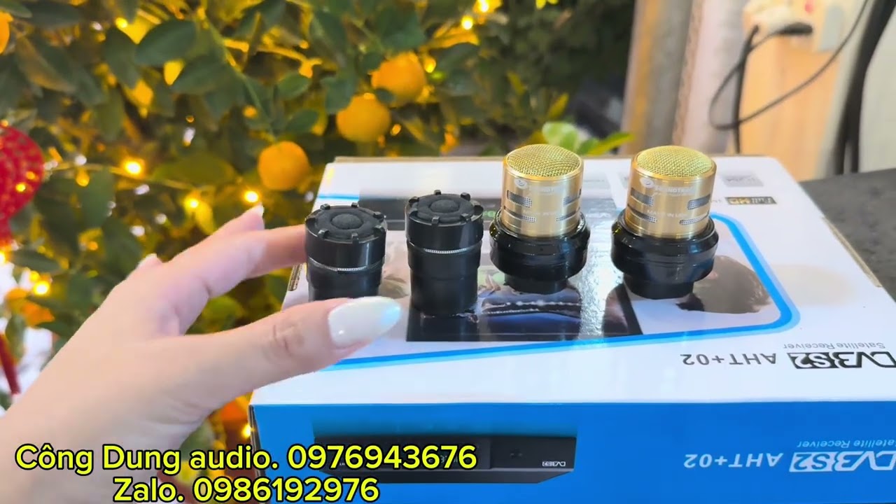 E còn 4 củ mic. Vừa tặng vừa bán cho khách cuối năm ạ. Không dây có dây hát tết  nhẹ và hay