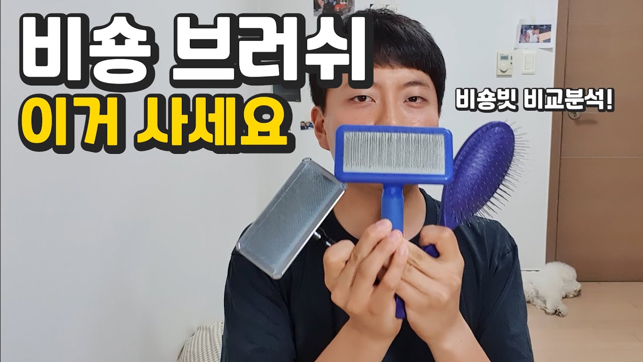 비숑 브러쉬 이 영상으로 정리해드립니다