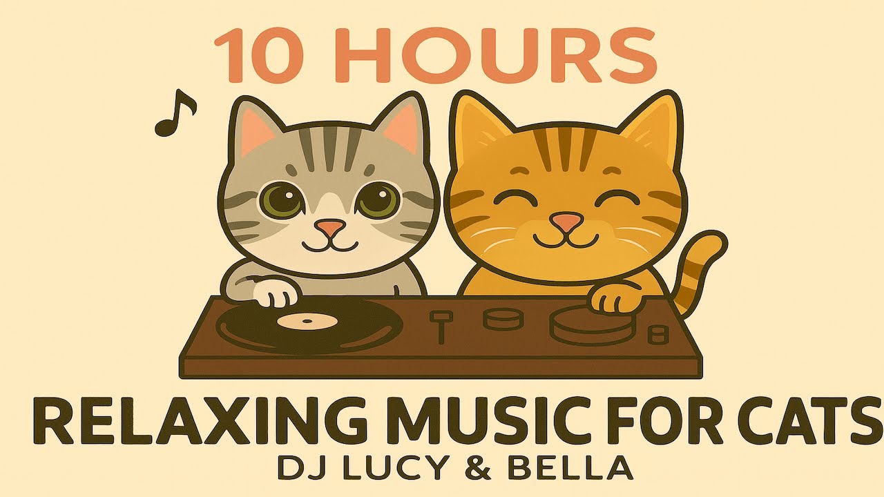 Cat Music for Separation Anxiety 🌿 Stop Meowing (10 Hours) | DJ Lucy & Bella
