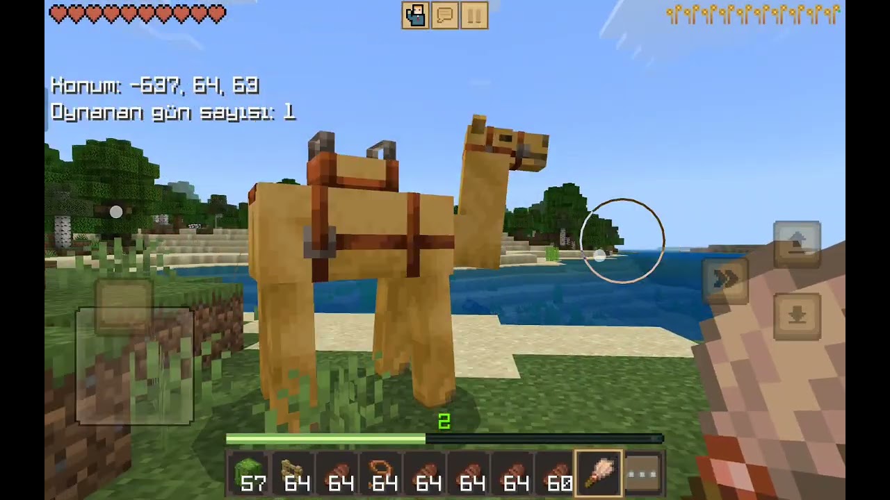 Minecraft çöl macerası