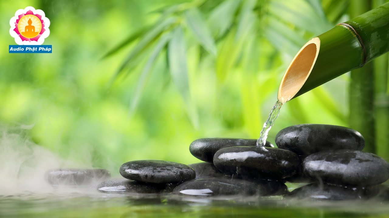 Nhạc Thiền Phật Gi&aacute;o Tĩnh T&acirc;m - Nghe để an lạc, ng&agrave;y mới tr&agrave;n đầy năng lượng