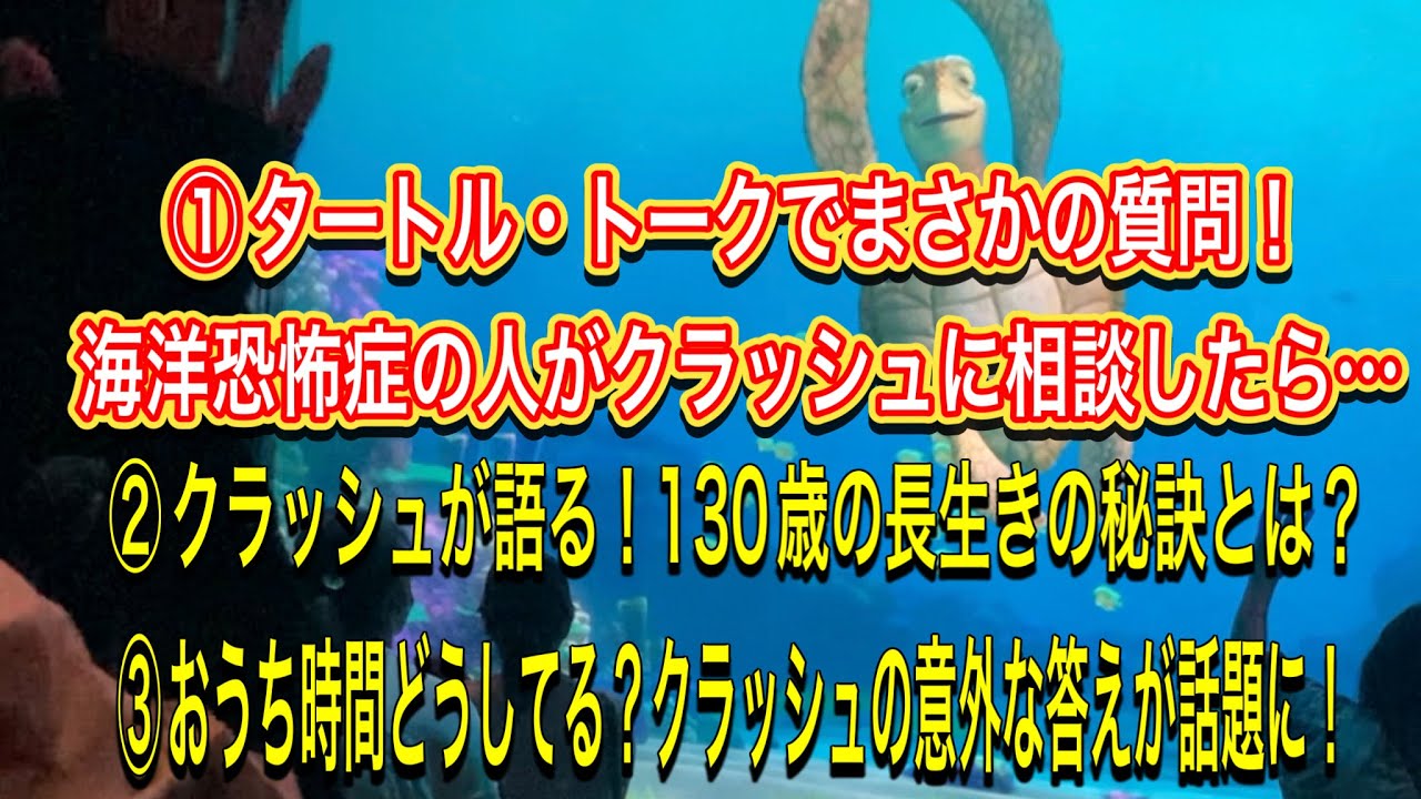 海が怖い…海洋恐怖症の質問にクラッシュはどう答える？ディズニーシータートル・トーク！クラッシュが語る！130歳の長生きの秘訣とは？おうち時間どうしてる？クラッシュの意外な答えが話題に！