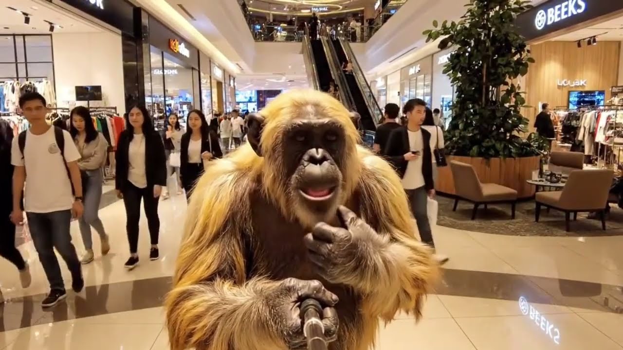 قرد في الجيم بيتكلم مصري 😂🐒 | اول يوم تمرين vs الحقيقة المضحكة