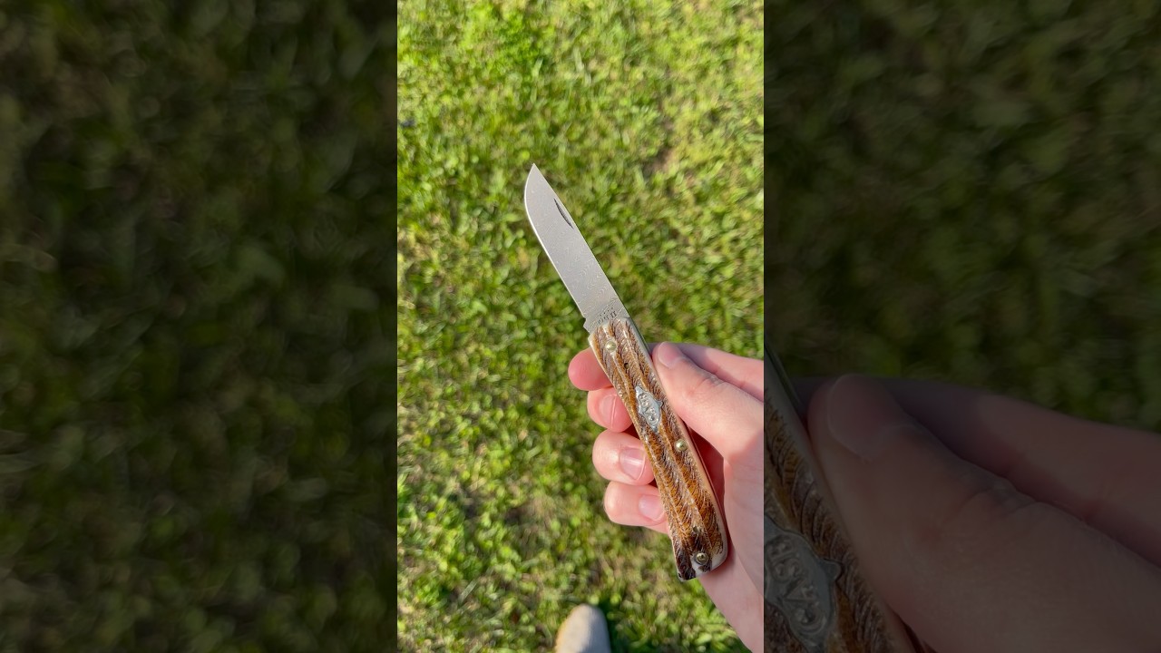 2022 Case Vintage Bone Damascus Sod Buster Jr