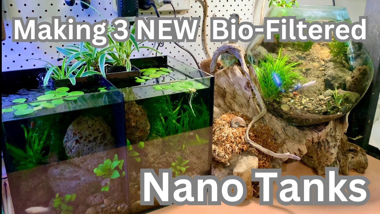 NEW Nano Tanks with DIY Bio filters
