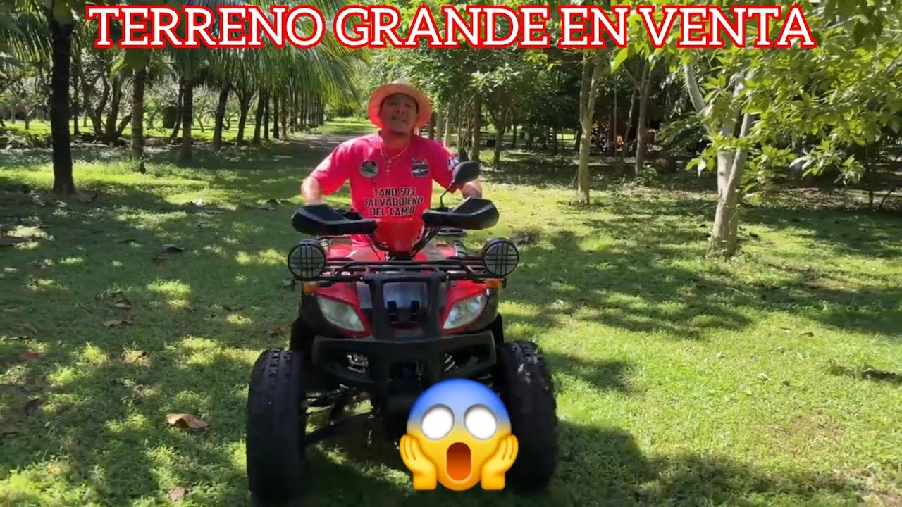 FINCA CON ARBOLES FRUTALES Y A TAN SOLO 5 MINUTOS DEL AERO😱