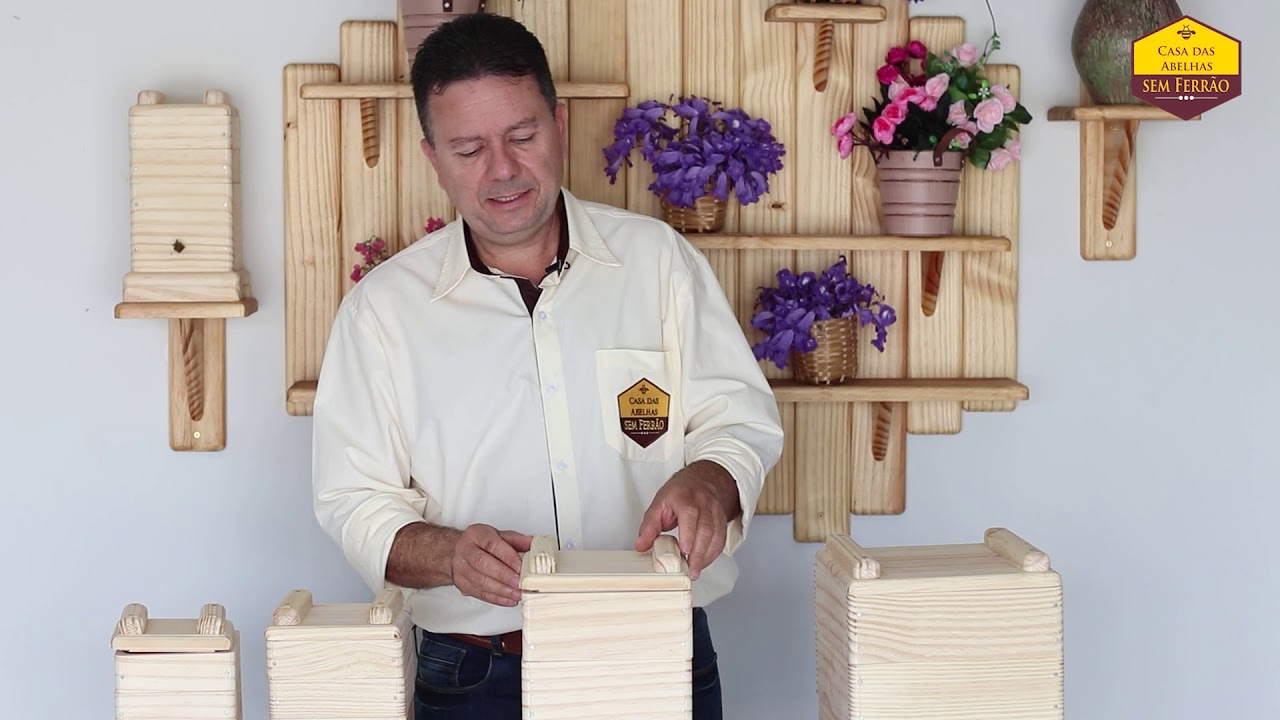 Conheça as melhores caixas para abelhas sem ferrão