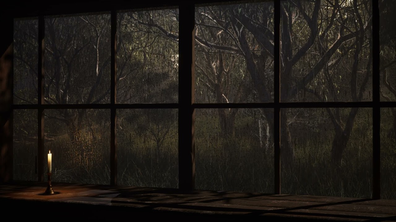 Rain on Window in a Quiet Forest | Rain Ambience & Relaxing Rain Sounds for Sleep, Study | 8 Hours