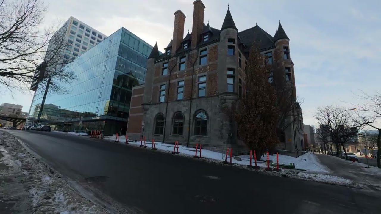 Sunny Winter Walk in Montréal ❄️🐕 | Viger Park to the Village POV