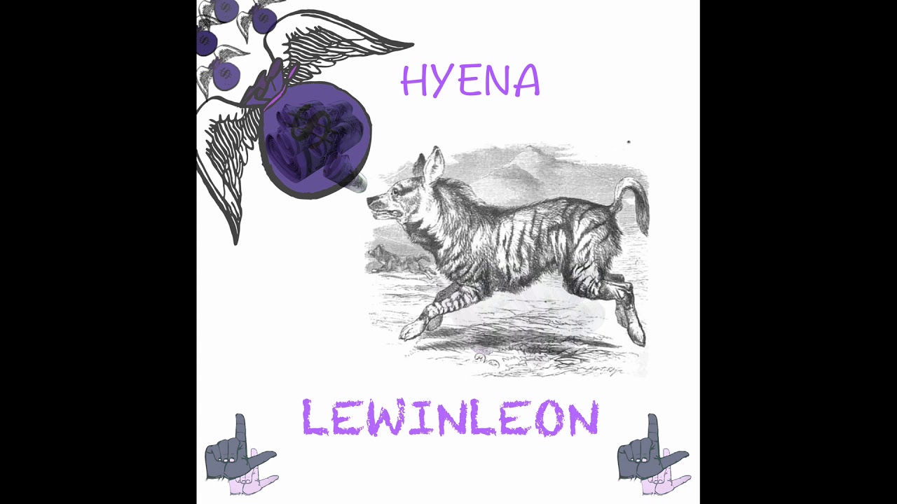 Lewin Leon - Hyena (Audio)