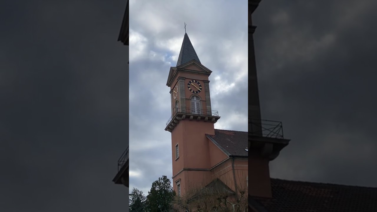 Bad Dürkheim St.Ludwig (12.01.2025)