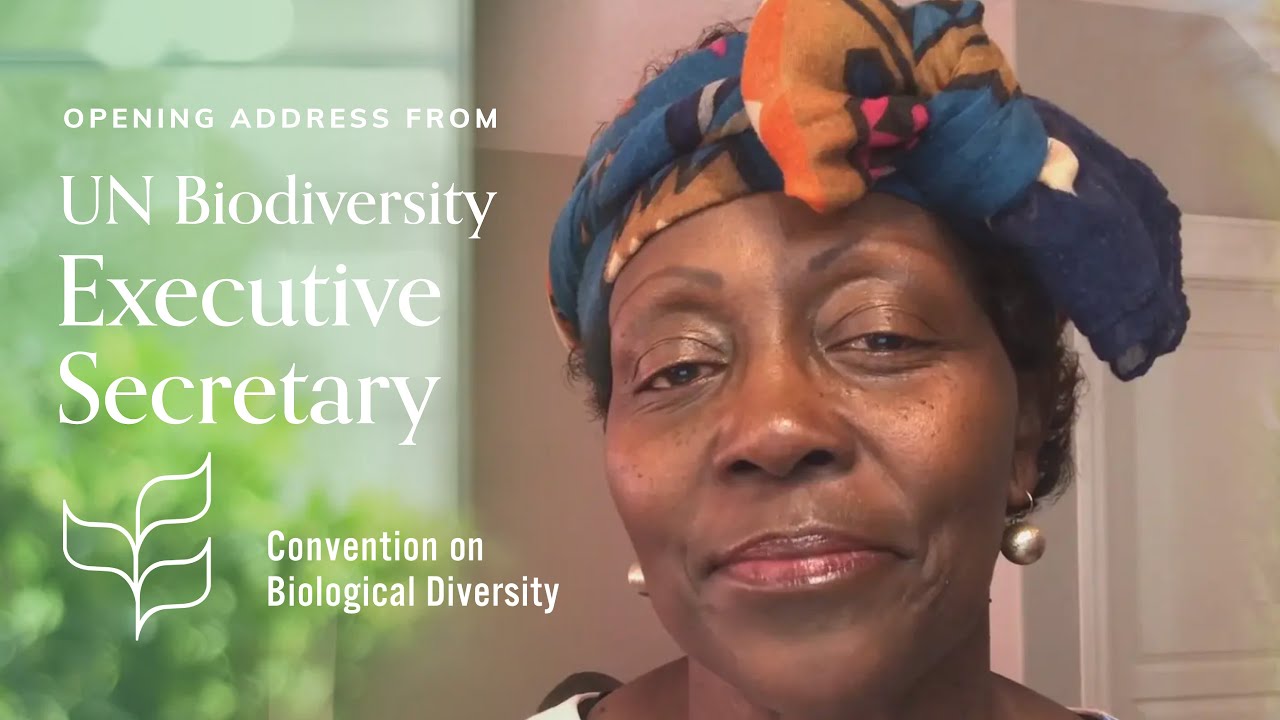 Message from the United Nations Convention on Biological Diversity on Nature X Design