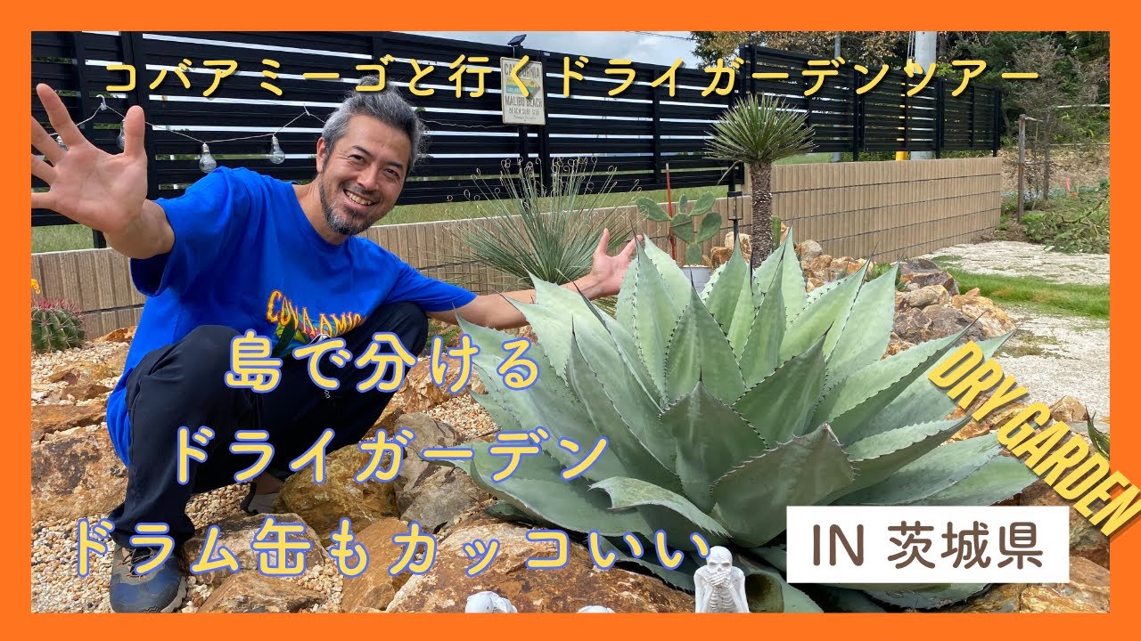 『島』エリアで分けるドライガーデン、島という概念。