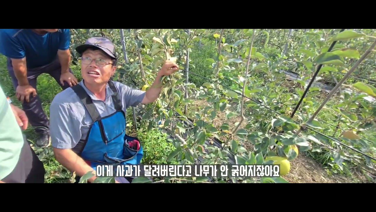 9월 경영농원 다축 현장교육 영상입니다.