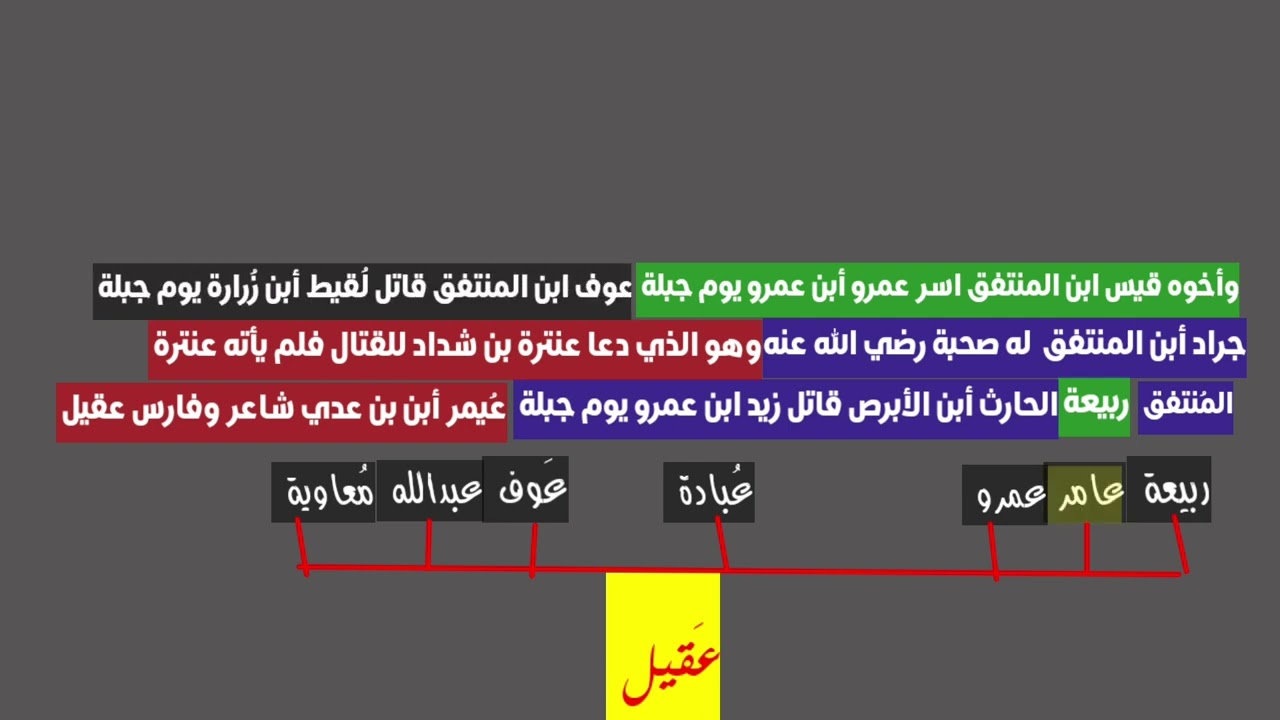 قبيلة عقيل ابن عامر ابن صعصعة #قيس_عيلان