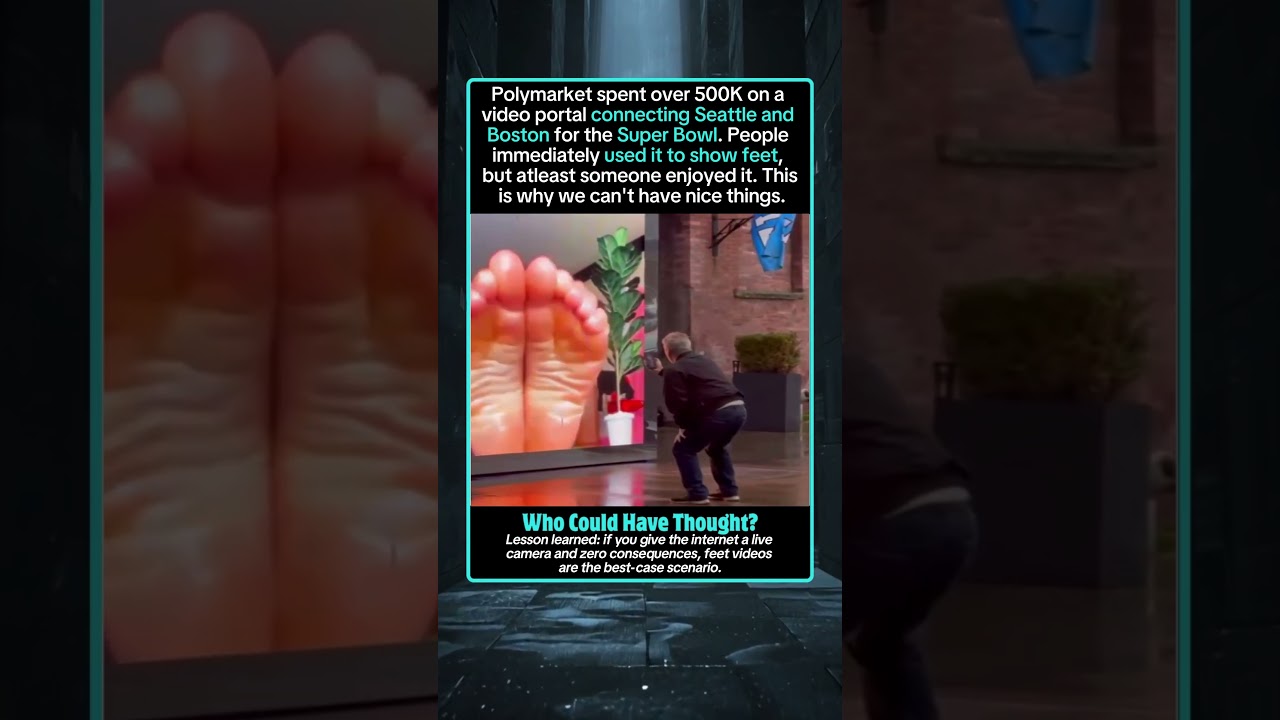 The Predictable Outcome of a Public Video Portal