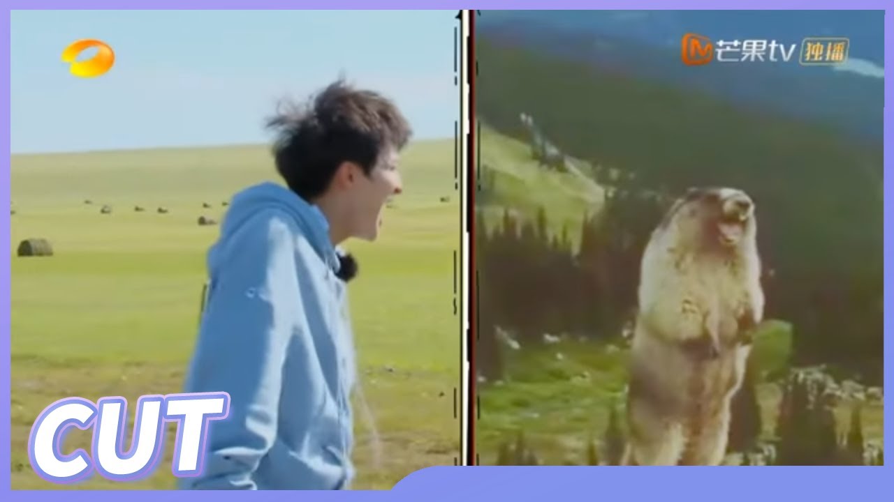 【周深驾校日记】搞笑艺人周深实锤！在线学土拨鼠尖叫放飞自我《新手驾到》 Go Newbies丨MangoTV