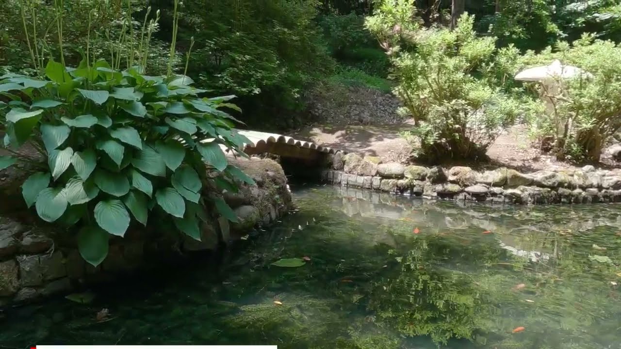 Botanic garden of Batumi