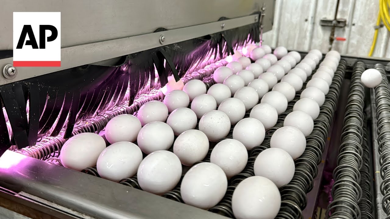 CDC director explains latest bird flu outbreak