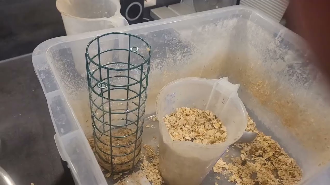 Meisenknödel selber herstellen. 