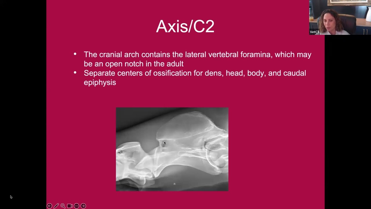 Equine Winter Webinar: An overview of equine cervical spine radiographic interpretation