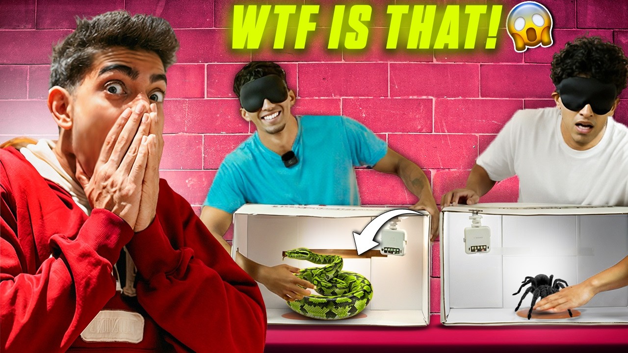 Guess what's in the box?🤔 - Fitness influencers edition ! 
